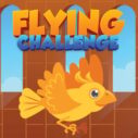 flying challenge 1