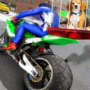 motorcycle pet delivery