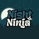 night ninja 1