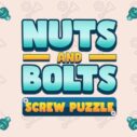 nuts and bolts screw puzzle 2