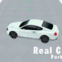 real car parking 3d