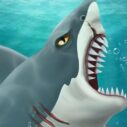 Shark Attack-Casual 3 shark attack casual 1