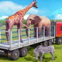 truck driving animal transport