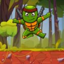 turtle ninja